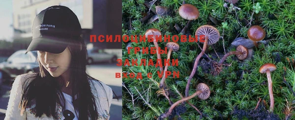 стаф Няндома