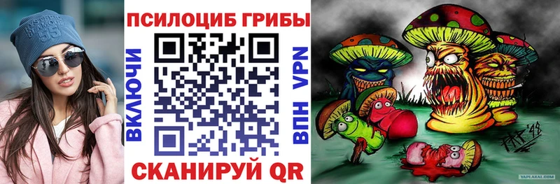 Купить закладки  Димитровград  Галлюциногенные грибы ЛСД 